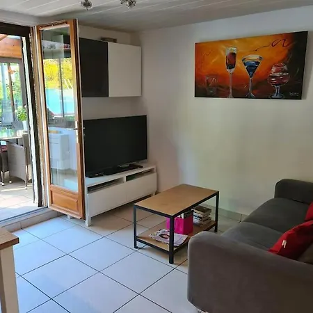 Les Ecureuils Au Sein D'une Propriete Arboree *