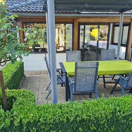 Les Ecureuils Au Sein D'une Propriete Arboree *