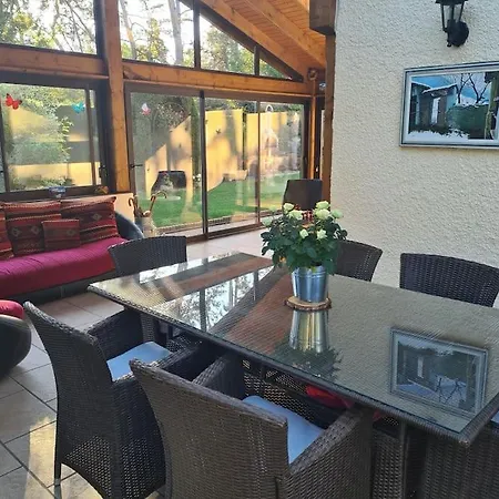 Les Ecureuils Au Sein D'une Propriete Arboree *