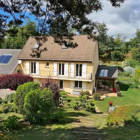 Les Ecureuils Au Sein D'une Propriete Arboree