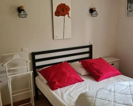 Les Ecureuils Au Sein D'une Propriete Arboree